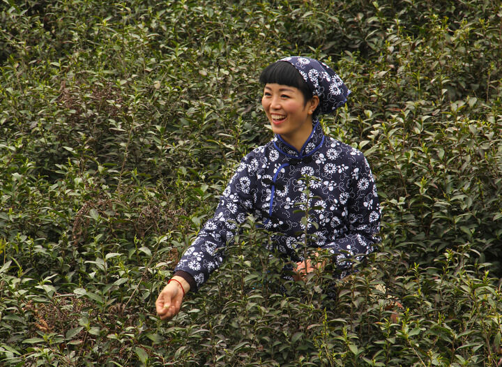 94间房主跳舞 情欲暗流